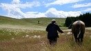 Қозоғистонлик эркак яйлов бўйлаб отда сайр қилмоқда, 10 июль. ЕТТБ мамлакатда кичик бизнесни кредитлашни осонлаштириш бўйича янги лойиҳани ишлаб чиққан. (Франк Фифе/AFP)