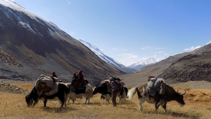 O‘tgan yil 7-oktabrda olingan ushbu suratda etnik qirg‘izlardan bo‘lgan ko‘chmanchi oila qo‘toslarda sayr qilayotgani tasvirlangan. Afg‘oniston, Voxan koridori. (Gohar Abbas/AFP)