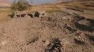 “Islom davlati”ning 4-mart kuni chiqarilgan tashviqot videoroligidan olingan kadrda koalitsiyaning ommaviy panohgohga qarata bergan havo hujumining oqibatlari aks ettirilgan.