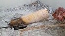 9-aprel kuni Suriyaning Duma shahrida olingan videoda gazsimon xlor bilan to‘ldirilgani taxmin qilinayotgan snaryad ko‘rsatilgan. Hujum natijasida tinch aholi vakillaridan 40 nafari halok bo‘lgan, 500 dan ortig‘i kasalxonaga yotqizilgan. Snaryad qurbonlar foto va videotasvirga olingan bino ichida bo‘lgan. Keyinroq, rossiyalik harbiy maslahatchilar ushbu binoda bo‘lib, “kimyoviy qurol belgilari topilmaganini” ma’lum qilganlar. (Oq dubulg‘alilar)