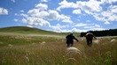 Уфа ва Қустанай оралиғидаги яйловларда от миниб юрган эркак, Қозоғистон, 2017 йил, 10 июль. (Франк Фифе/AFP)