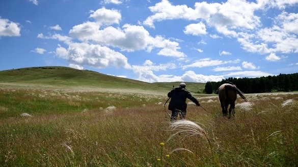 Уфа ва Қустанай оралиғидаги яйловларда от миниб юрган эркак, Қозоғистон, 2017 йил, 10 июль. (Франк Фифе/AFP)