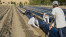 USAID loyihasiga tegishli Bobojon G‘ofurov tumani, Ovchi Qalachadagi ko‘rgazma maydoni, o‘tgan yilning dekabr oyi. (Muyassara Pulatova)
