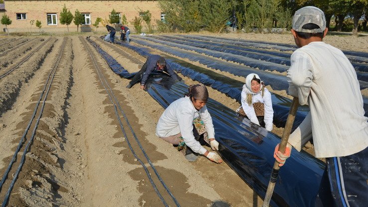 USAID loyihasiga tegishli Bobojon G‘ofurov tumani, Ovchi Qalachadagi ko‘rgazma maydoni, o‘tgan yilning dekabr oyi. (Muyassara Pulatova)