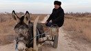 Қорақалпоғистоннинг Элликқалъа туманида истиқомат қилувчи фуқаро, санасиз сурат. (Жаҳон банки)