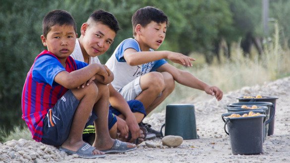 During summer holidays, schoolchildren in Batken Province, Kyrgyzstan, make pocket money by selling apricots to passing truck drivers. [World Bank Group]