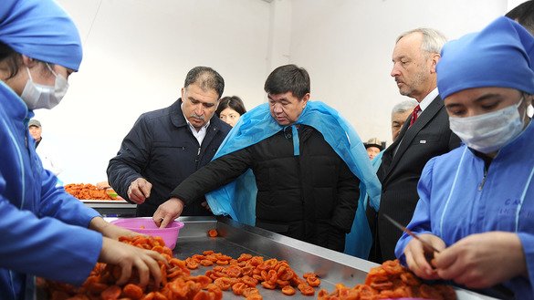 Kyrgyz Prime Minister Muhammedkaly Abylgaziyev visits a dried fruit processing plant in Uch-Korgon village, Batken Province, in December. The plant was established with the assistance of the USAID Agro Horizon project. [USAID]