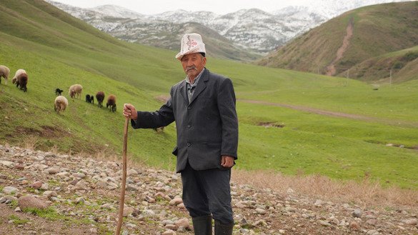 Пастух по дороге к пастбищам на северных склонах Тянь-Шанских гор, Кыргызстан. [Кристина Штульбергер / Zoï Environment Network].
