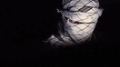 Тожикистонда террорчиларнинг интернетдан фойдаланишига қарши кураш бўйича машғулотлар ўтказилди