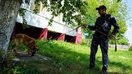 Қозоғистонда наша плантацияларини йўқ қилишга қаратилган аксилгиёҳвандлик операцияси ўтказилди