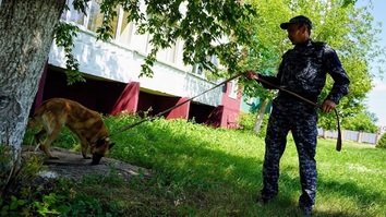 Қозоғистонда наша плантацияларини йўқ қилишга қаратилган аксилгиёҳвандлик операцияси ўтказилди