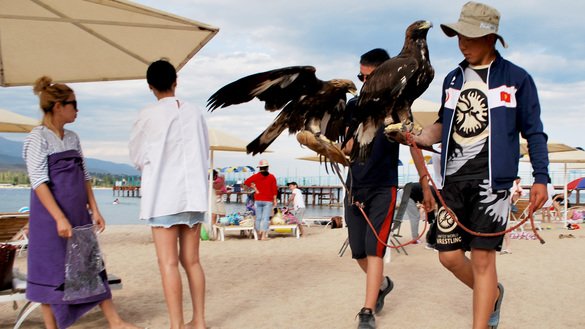 Bekjan and Eldiyar, holding their golden eagles, walk the beaches in search of customers. The boys earn money by allowing tourists to photograph the birds. They said that this year they are taking in an average of 300- 400 KGS ($3.90-$5.20) per day. Last year, they earned double that amount. Cholpon-Ata, Issyk-Kul Province. April 23. [Maksat Osmonaliyev]