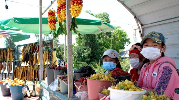 Раньше местные торговцы, работающие на трассе Каракол-Бишкек, получали приличный доход от туризма. Они продают фрукты, ягоды, овощи и другие продукты. В этом году продажи резко упали: два-три ведра абрикосов, вишни или черной смородины в день по сравнению с примерно 20 ведрами в день в прошлом. Кара-Ой, Иссык-Кульская область, 24 июля. [Максат Осмоналиев]