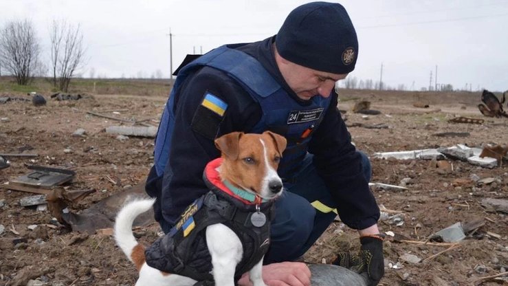 Russian land mines, unexploded ordnance endanger Ukrainian civilians